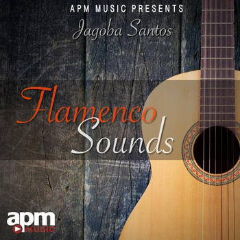 Flamenco Sounds