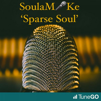 Sparse Soul