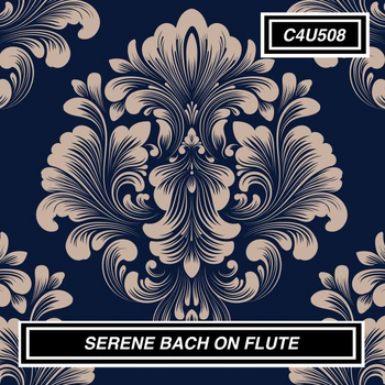 SERENE BACH ON FLUTE