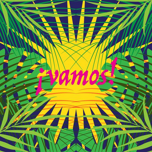 VAMOS