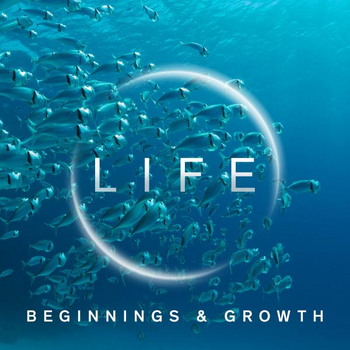 LIFE - BEGINNINGS AND GROWTH