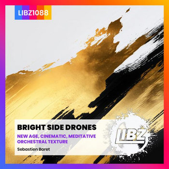 BRIGHT SIDE DRONES